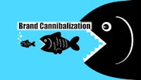 brand cannibalization