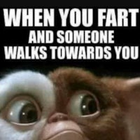 a gremlin with the words when you fart and someone walks towards you